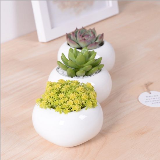 Mini Desktop Mini Keramik Blumentopf