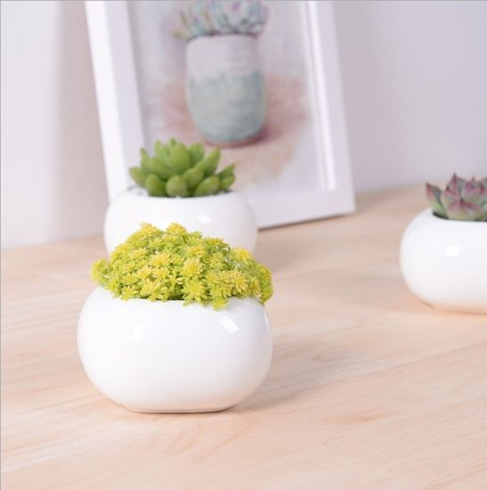 Mini Desktop Mini Keramik Blumentopf