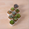 Kreative Mode Keramik White Square Blumentopf